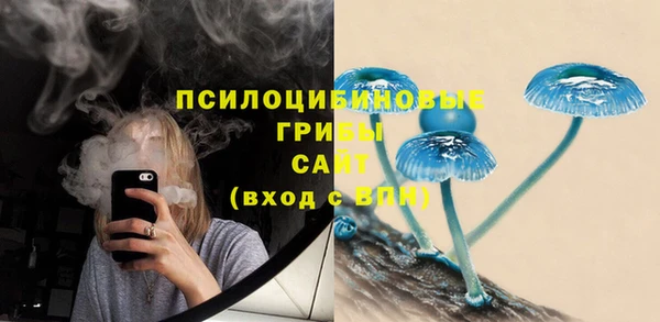 трава Киреевск