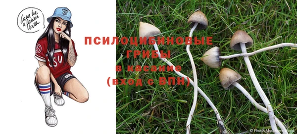 гашик Киренск