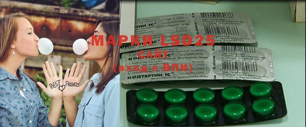 гашик Киренск