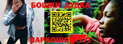 индика Комсомольск-на-Амуре