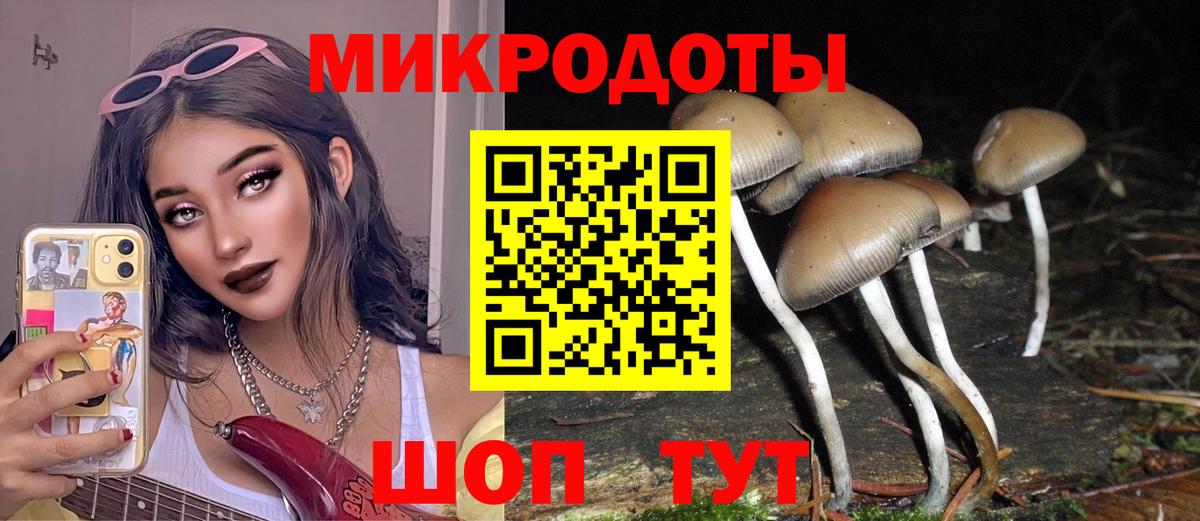 Галлюциногенные грибы MAGIC MUSHROOMS  Вход с VPN  Новороссийск  Псилоцибиновые грибы мицелий 
