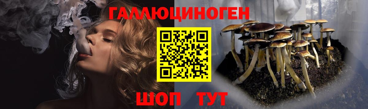 НБОМе Новороссийск